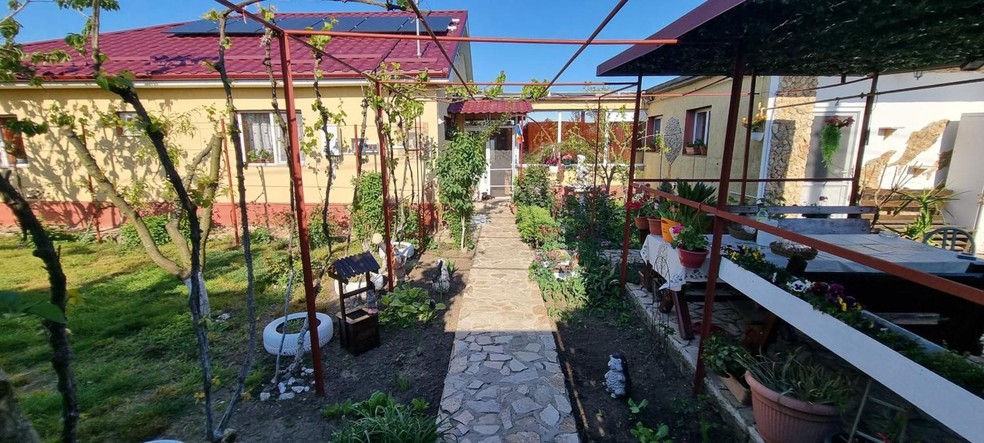 ホテル Casa Stefan Douăzeci şi Trei August エクステリア 写真